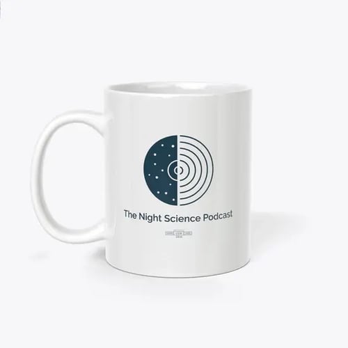 NS Mug